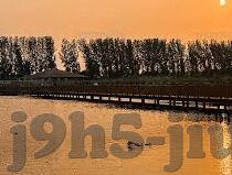 竞彩360足球比分直播-竞彩360足球比分直播,球迷的实时战场与数据盛宴