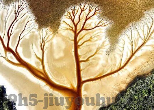 足球捷足球比分直播直播-足球捷报,实时比分直播,点燃你的绿茵激情